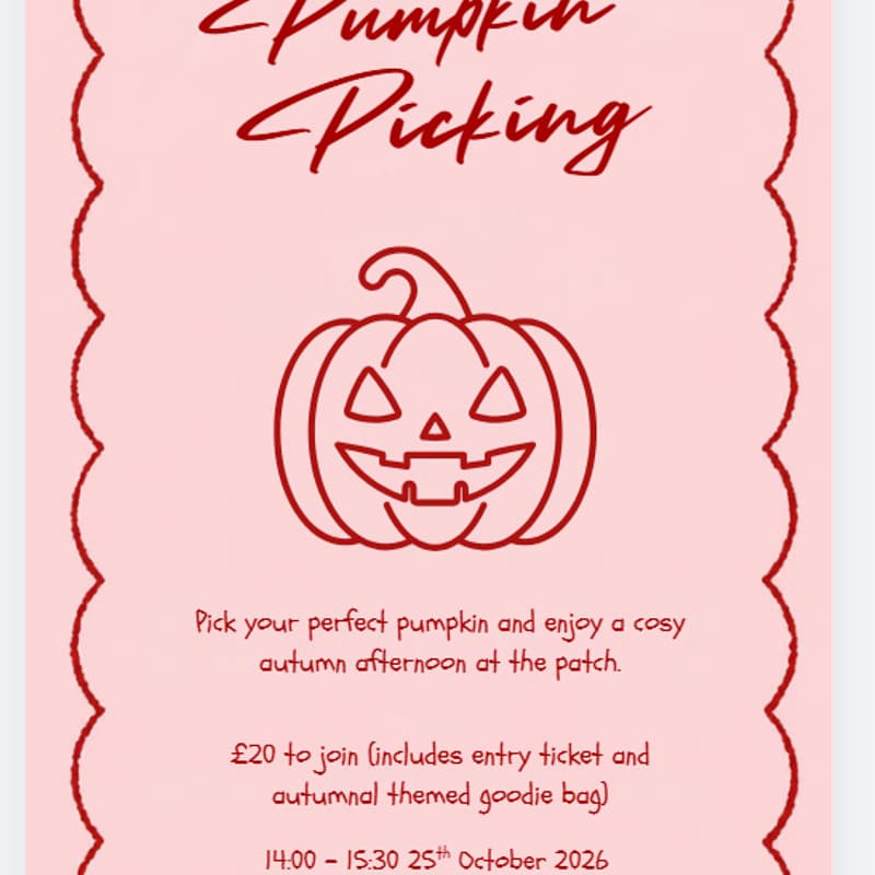 Cover Image for What's Her Network: Pumpkin Picking