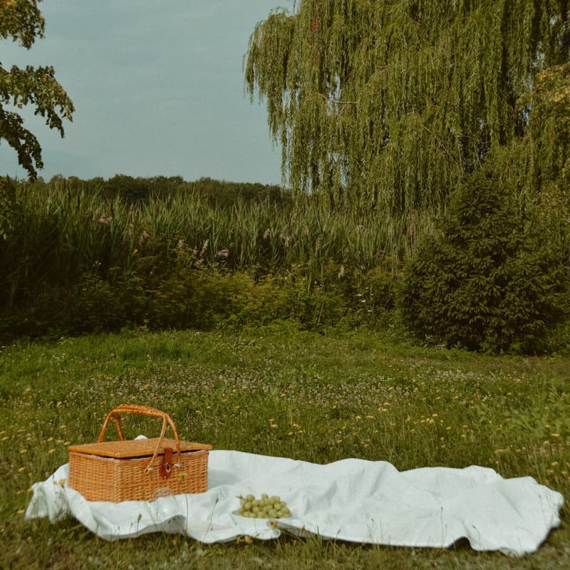 Cover Image for Creatives Meetup: Picnic + DJ Set