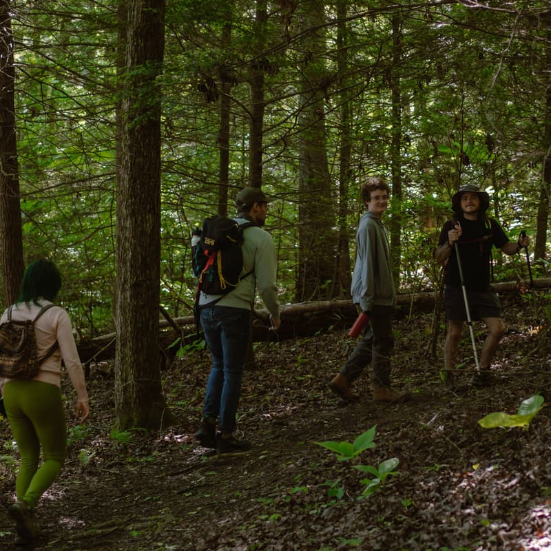 Cover Image for Short Evening Walk with Queer Community - New Jersey