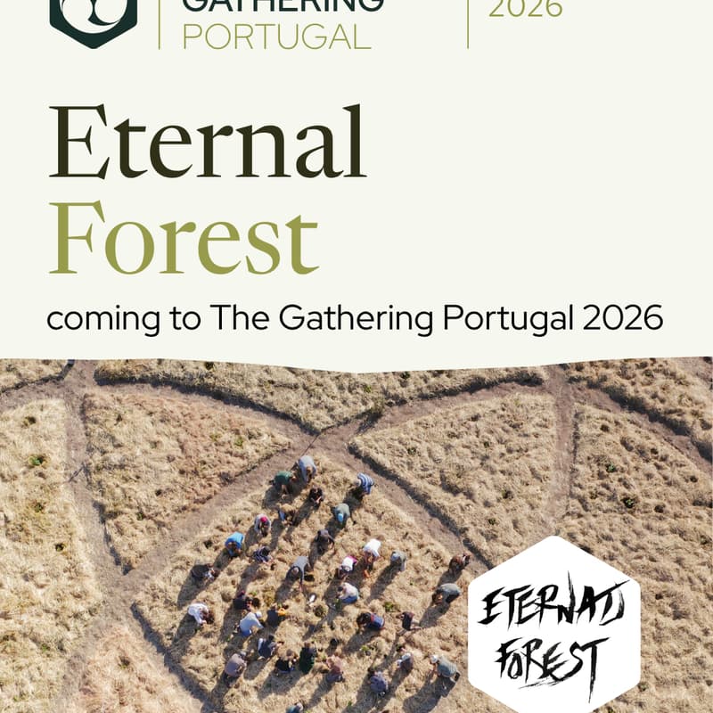 Cover Image for Eternal Forest Camp Community Call