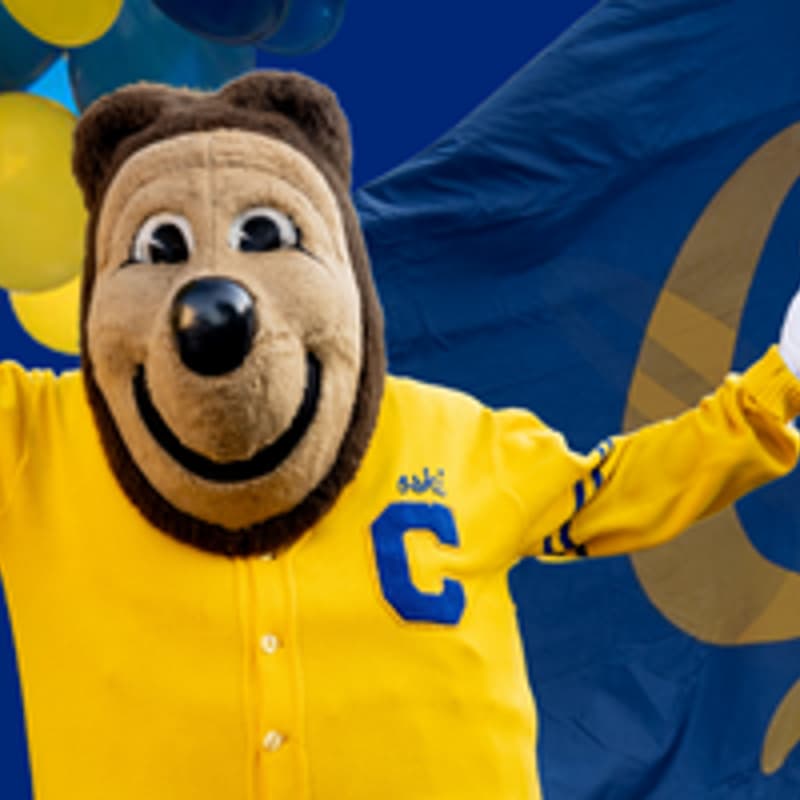 Cover Image for Berkeley Club of Mumbai Summer Send-off Party