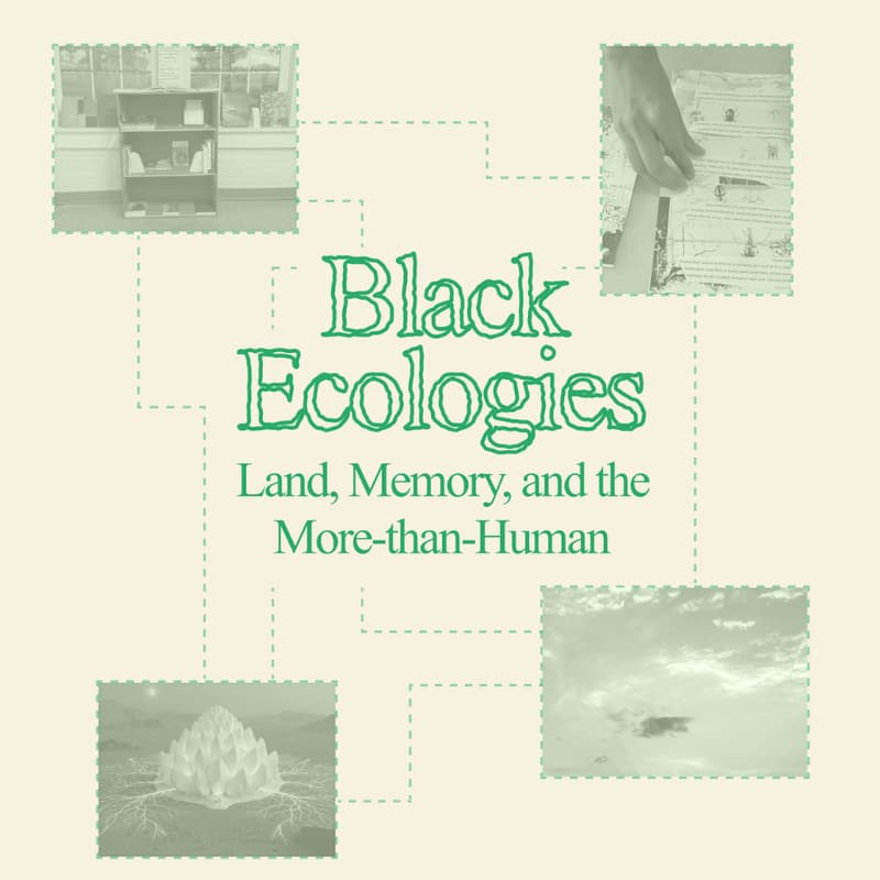 Cover Image for Black Ecologies: Land, Memory, and the More-than-Human