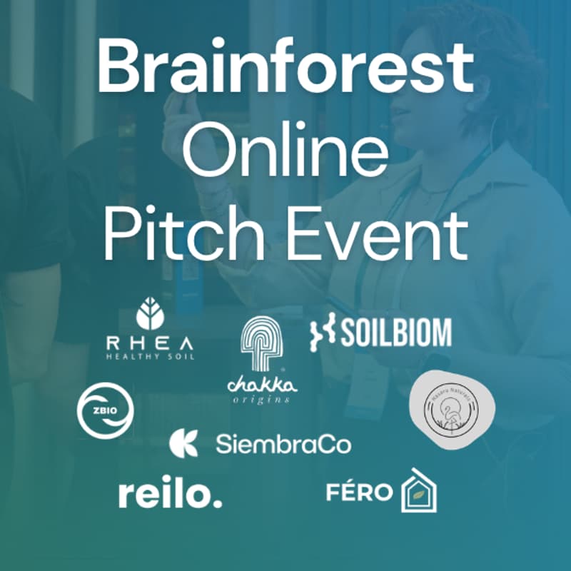 Cover Image for Nature for Impact: Online Pitch Brainforest Venture Program
