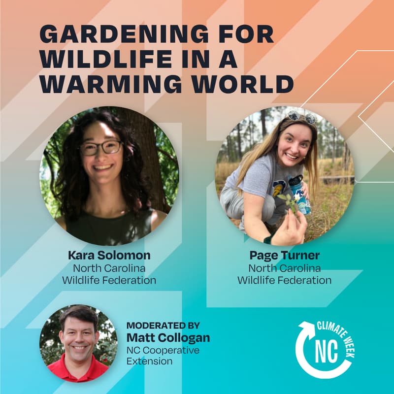 Cover Image for Gardening for Wildlife in a Warming World: How to Support Climate Resiliency Through Sequestering Carbon