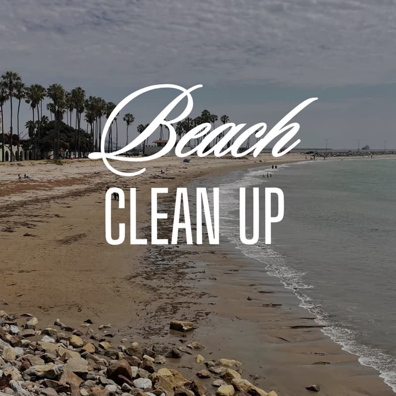 Cover Image for Beach Cleanup