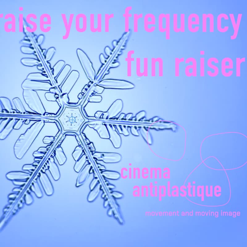 Cover Image for raise your frequency fun raising festival
