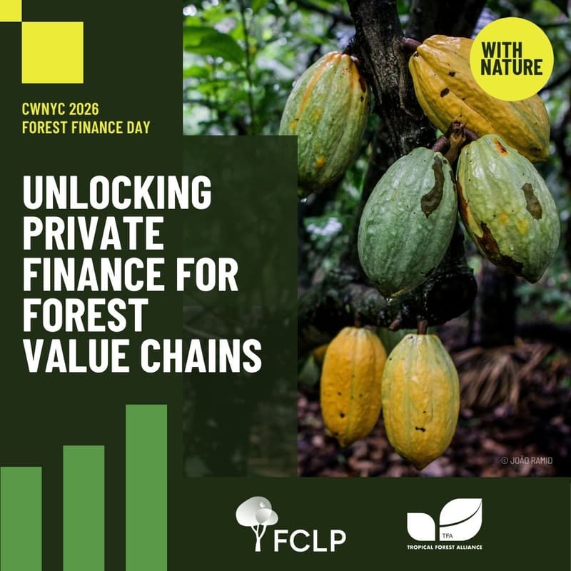 Cover Image for Unlocking Private Finance for Forest Value Chains
