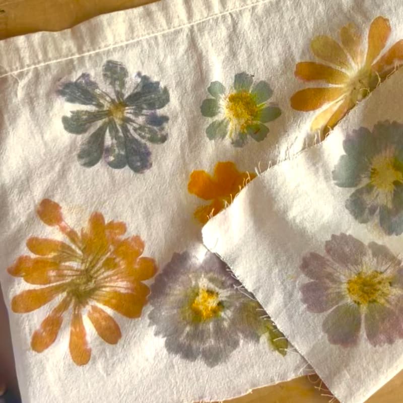 Cover Image for Botanical Printing with Bella Vista Flower Farm