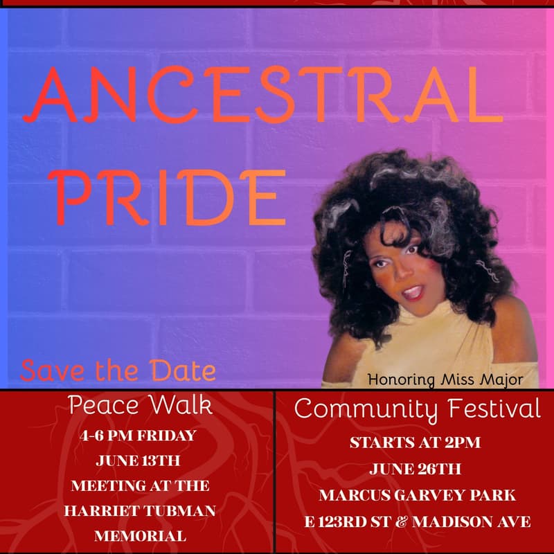 Cover Image for Ancestral Pride Volunteers