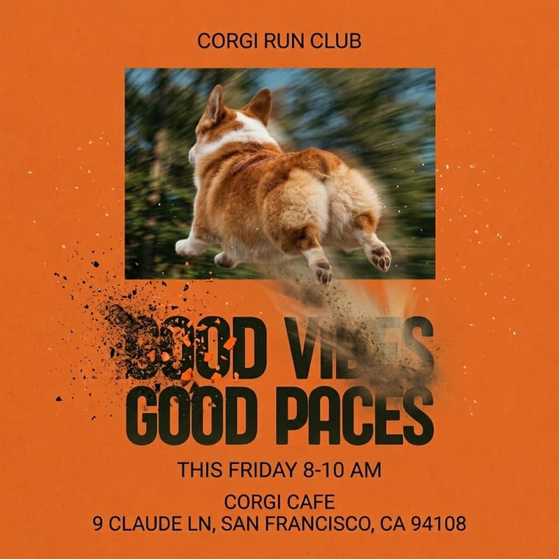 Cover Image for Corgi Run Club
