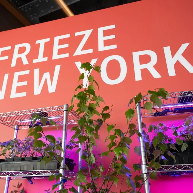 Cover Image for Frieze NYC Curated tour: Where Contemporary Art Comes Alive