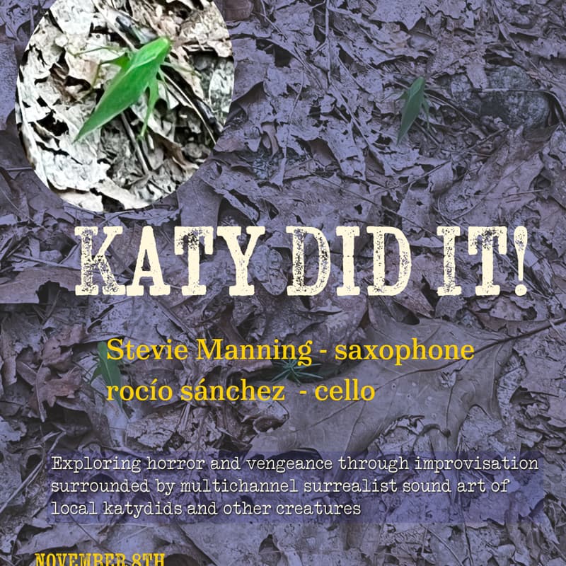 Cover Image for Katy Did It!