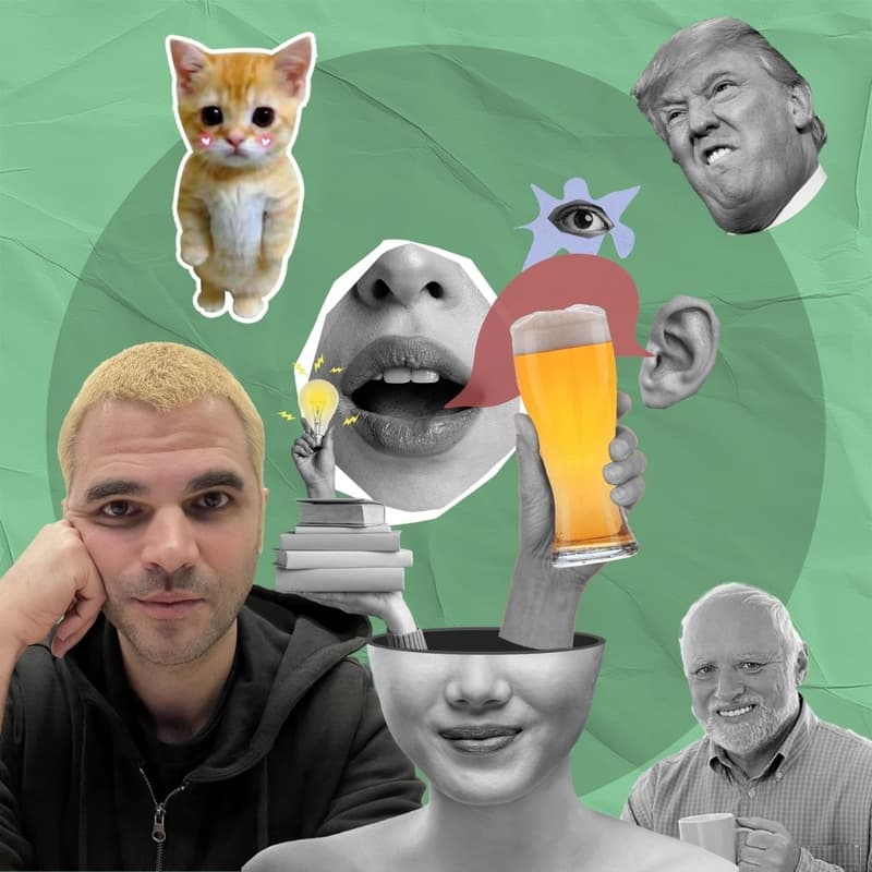 Cover Image for Pintology | Dai gattini a Trump e oltre: Di cosa parliamo quando parliamo di meme