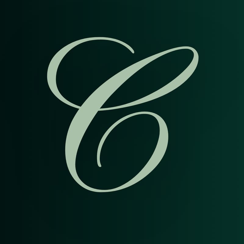 Cover Image for The Council of Leaders | First Gathering