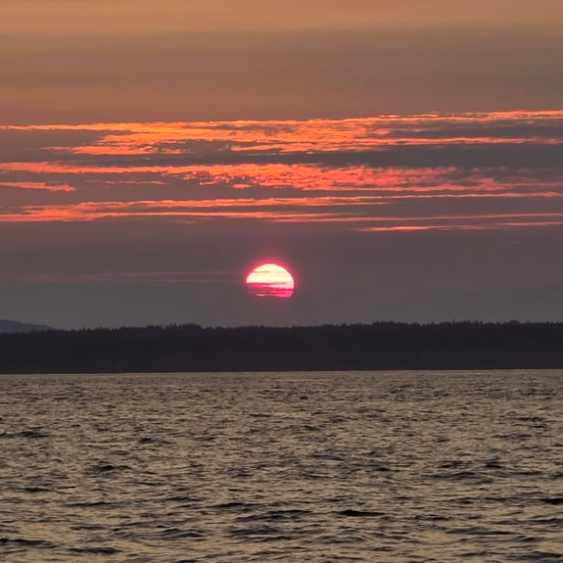 Cover Image for The Last Long Light