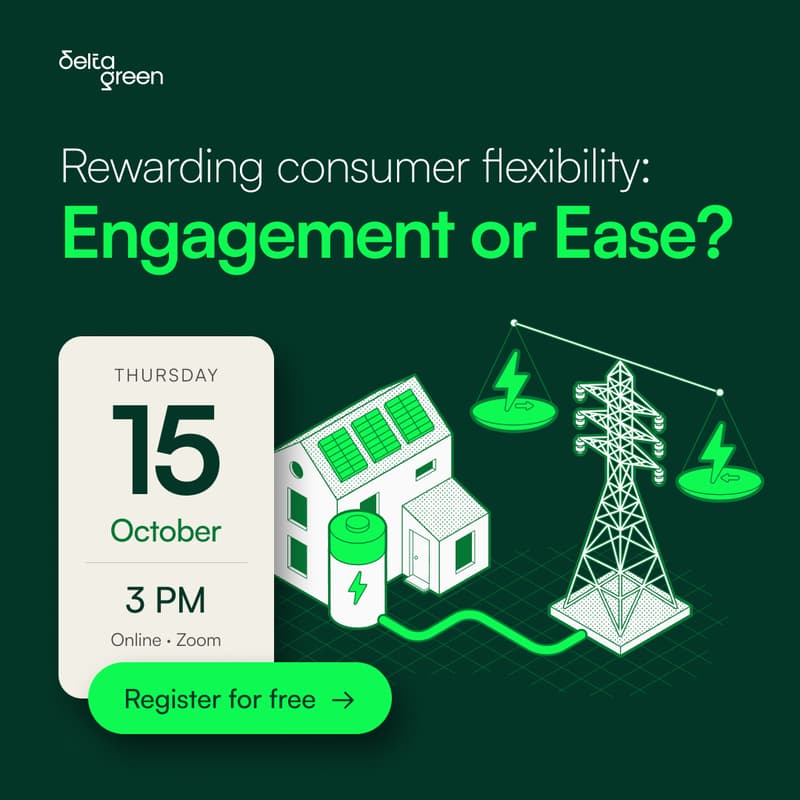 Cover Image for Rewarding consumer flexibility: Engagement or Ease?