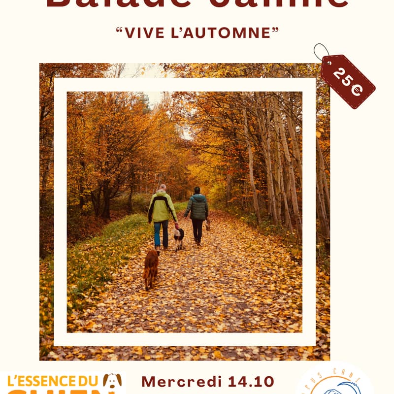 Cover Image for Balade canine "Vive l'automne" - 14.10.26 de 14h à 15h30