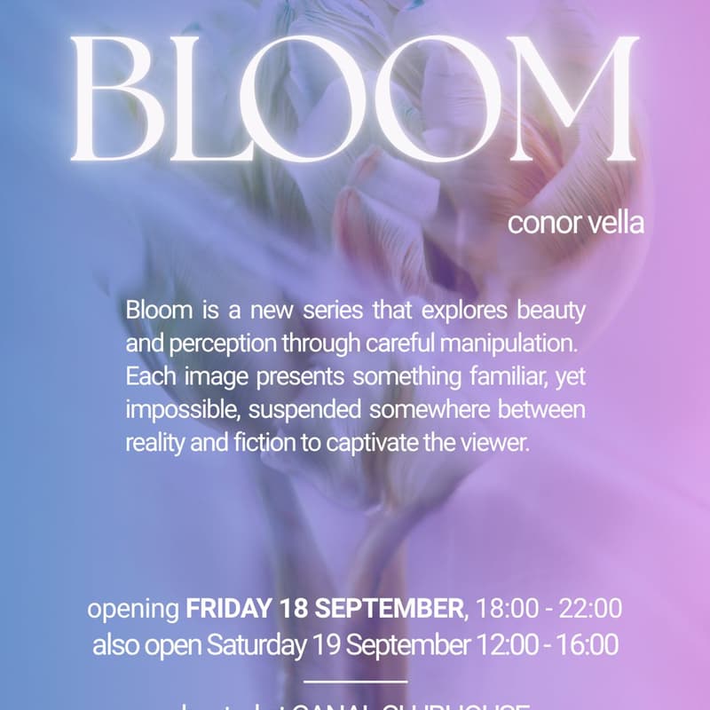 Cover Image for Bloom: Exhibition Opening