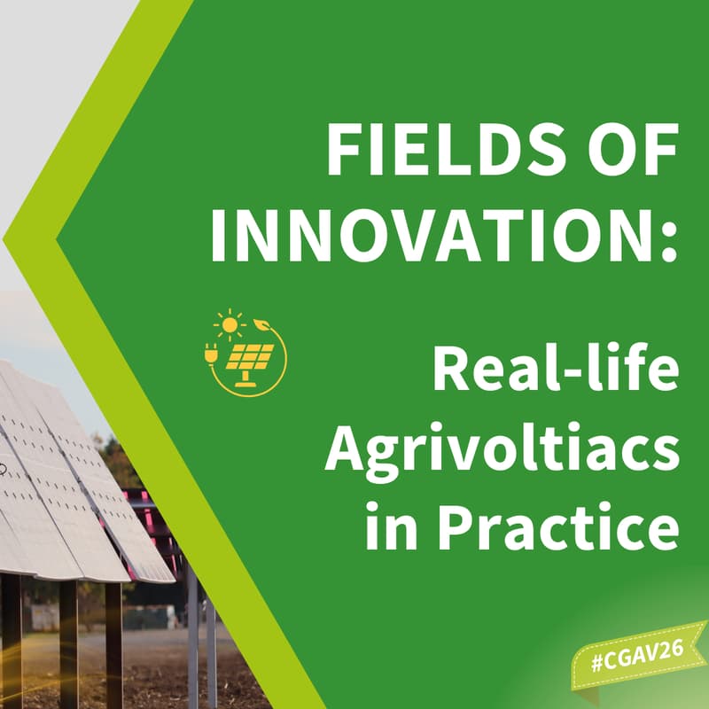 Cover Image for Fields of Innovation: Real-life Agrivoltaics in Practice