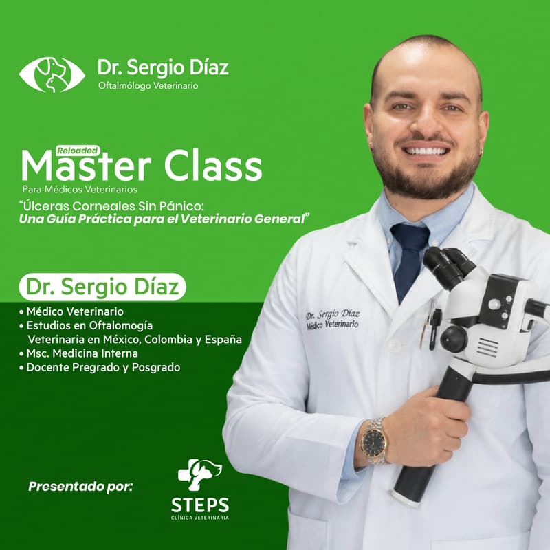 Cover Image for MasterClass: Úlceras Corneales Sin Pánico. Una Guía Práctica para el Veterinario General