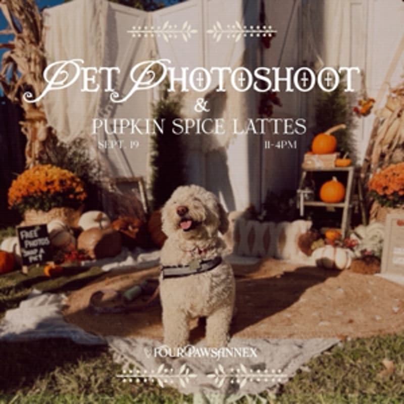 Cover Image for Fall Photoshoot & Pupkin Spice Social 🎃☕
