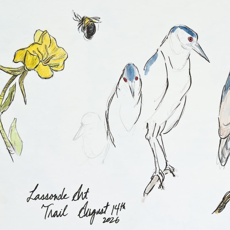 Cover Image for Sketch and Walk: Nature Sketching with Alan Li (Senior-friendly)