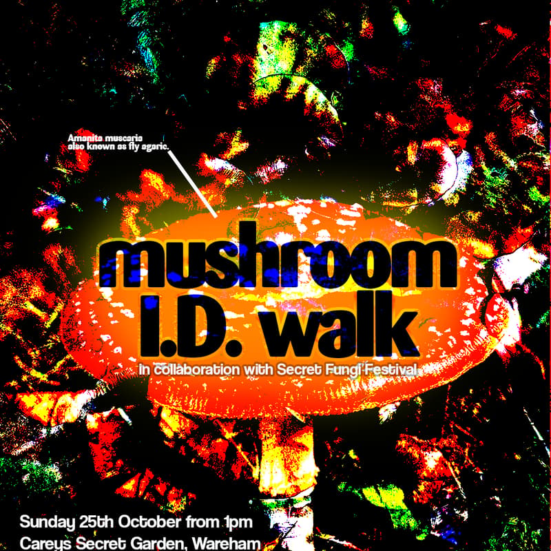 Cover Image for Mushroom ID Walk