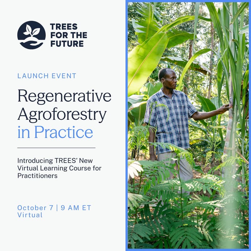Cover Image for Regenerative Agroforestry in Practice: Introducing TREES’ New Virtual Learning Course