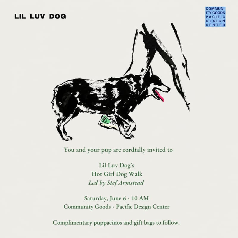 Cover Image for Lil Luv Dog Hot Girl Dog Walk