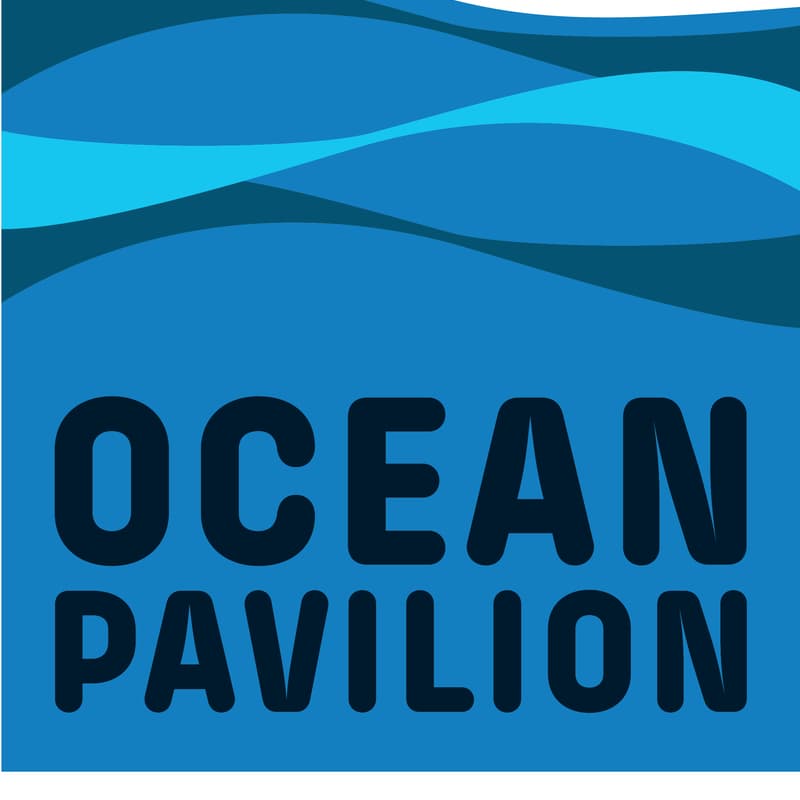 Cover Image for Daily Ocean Huddle