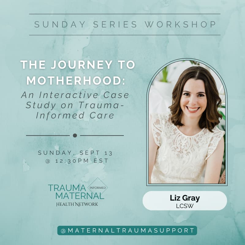 Cover Image for The Journey to Motherhood: An Interactive Case Study on Trauma-Informed Care