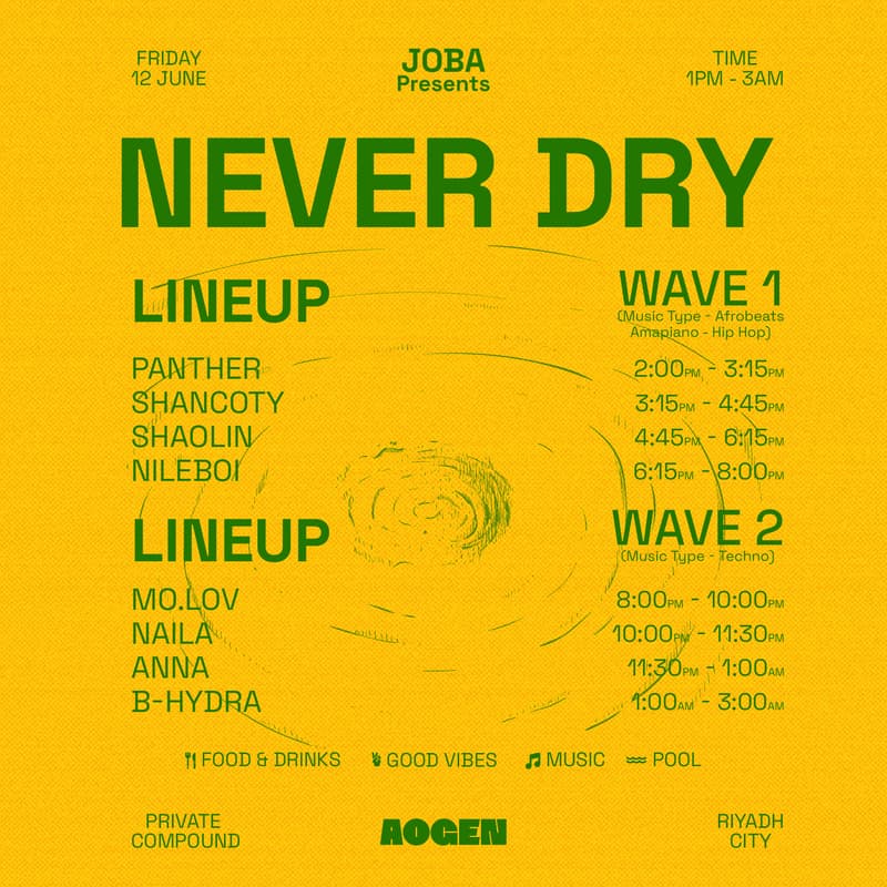 Cover Image for Never Dry