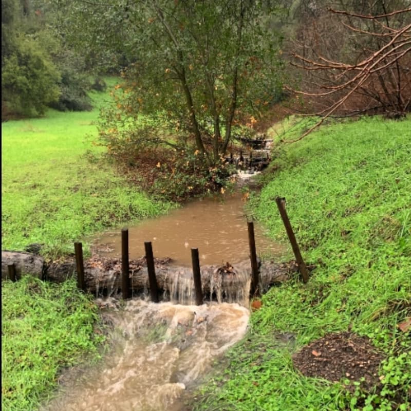 Cover Image for 11/7 Hands On Workshop Water Cycle Restoration: Gully Stuffing, Log & Rock Check Dams