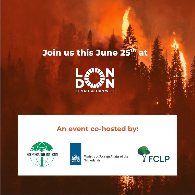 Cover Image for Wildfire resilience: Aligning policy, finance and local action