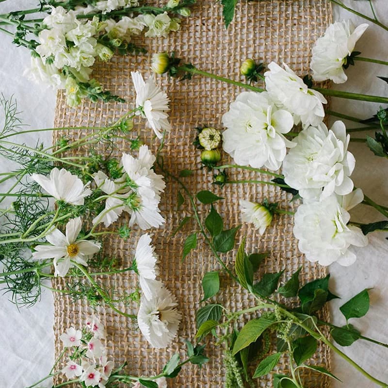 Cover Image for Still Blooming: A Community Flower Arranging Gathering