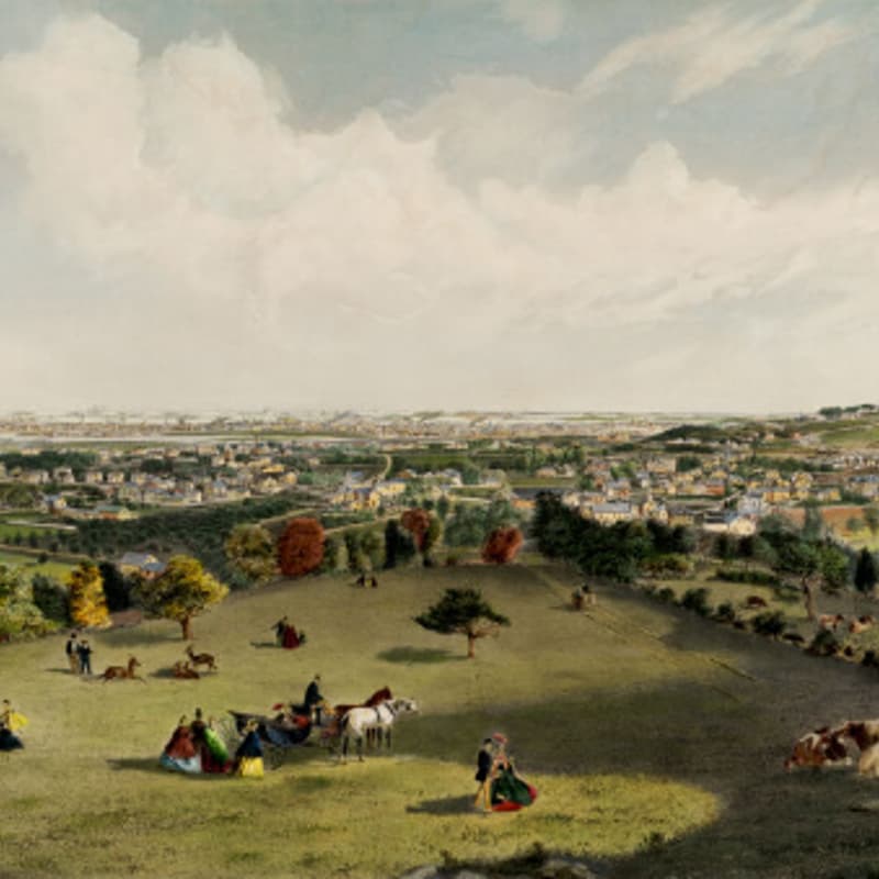 Cover Image for Leventhal Center June Board of Directors Meeting (virtual)