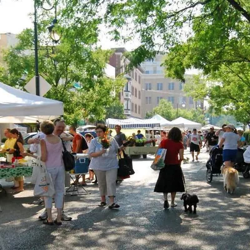 Cover Image for Hyde Park Farmer's Market