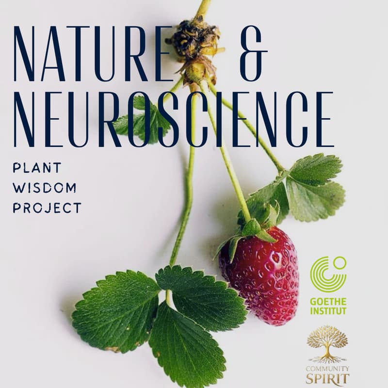 Cover Image for Nature & Neuroscience Workshop