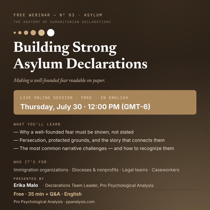 Cover Image for The Anatomy of Humanitarian Declarations: Building Strong Asylum Declarations