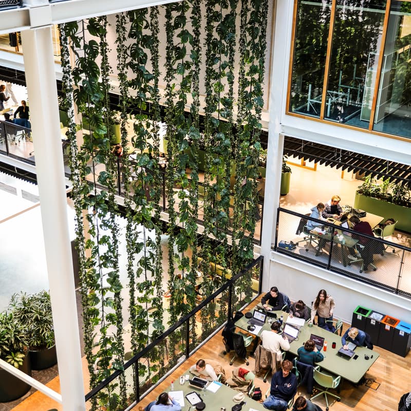 Cover Image for AI at Sciencepark - The Future of AI in the Creative Industry