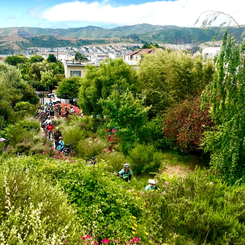 Cover Image for Visitacion Valley, McLaren Park & Excelsior