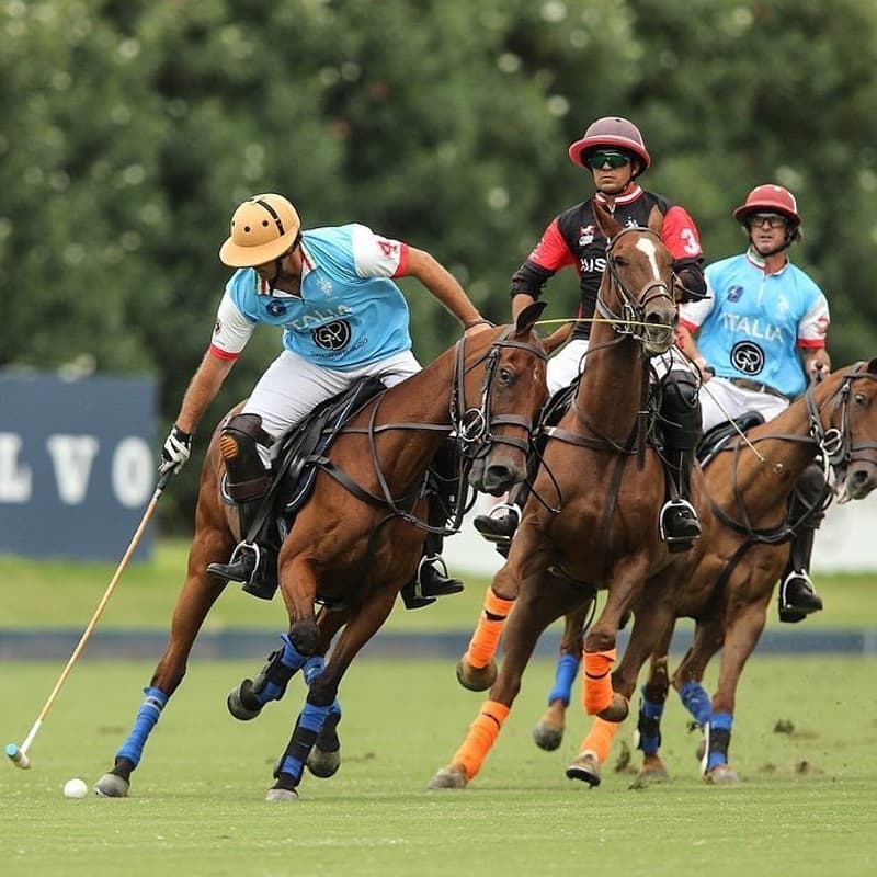 Cover Image for Watch Tournament: World Championship Qualifiers at Chantilly Polo Club