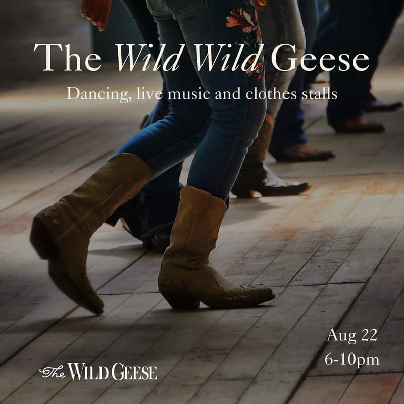 Cover Image for The WILD WILD Geese!