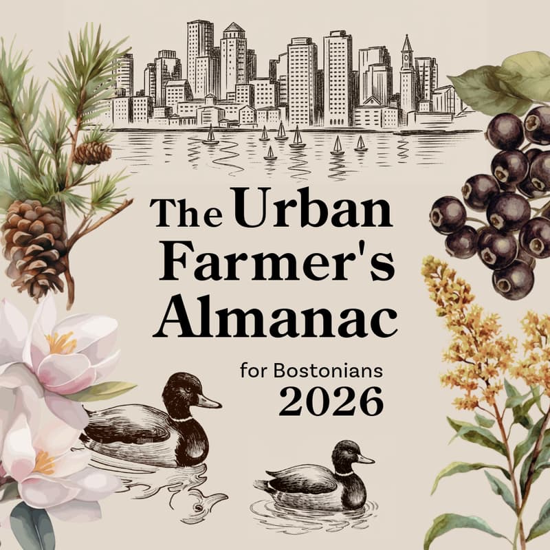 Cover Image for Urban Farmer’s Almanac Workshop with Climate Designers Boston