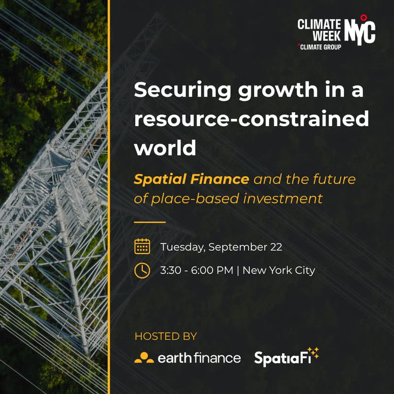 Cover Image for Securing growth in a resource-constrained world