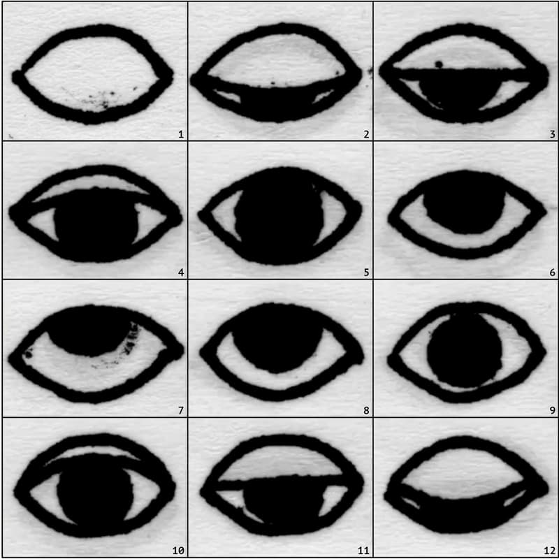 Cover Image for Jake Fried: Experimental Animation