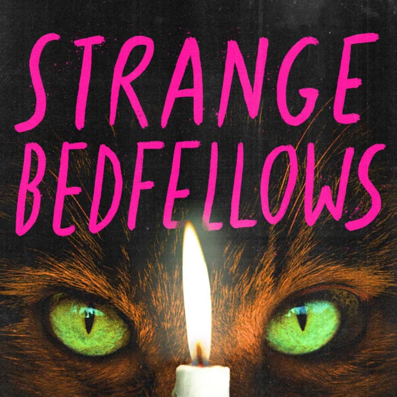 Cover Image for Strange Bedfellows Book Release!