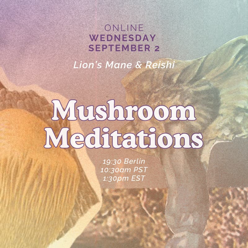 Cover Image for Mushroom Meditations: A guided journey for Earth connection, imagination and insight [Reishi and Lion's Mane]