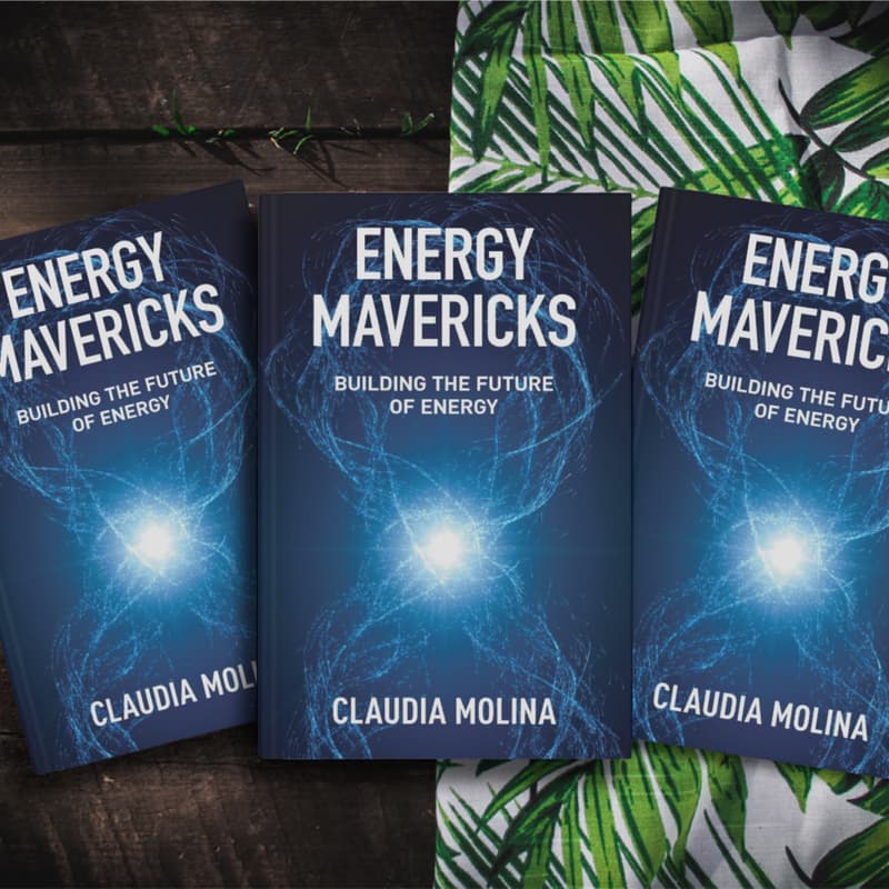 Cover Image for Energy Mavericks Book Launch