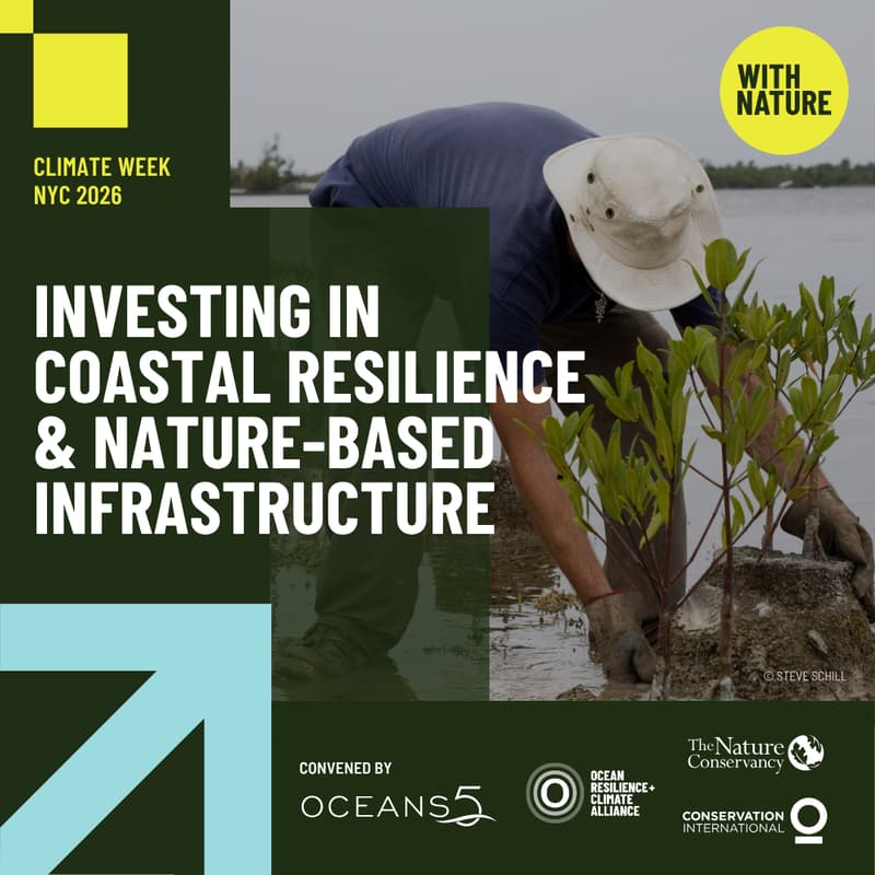 Cover Image for Investing in Coastal Resilience and Nature-Based Infrastructure